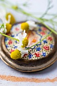 Chamomile flowers on the lid of an old pill tin