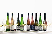 Assorted Grüner Veltliner wines from the Wachau region in Austria