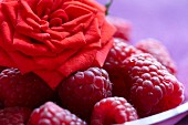 Raspberries and a rose