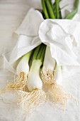 Spring onions with a white cloth