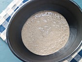 Sourdough in a bowl