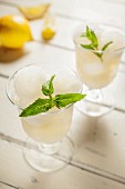 Lemon sorbet with mint leaves