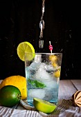 Gin Tonic mit Olivenspiess und Limettenscheibe