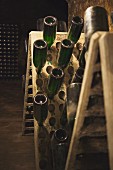 Botles of cava being stored at the Juve & Camps winery (in El Penedes, Spain)