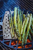 Grilled green asparagus on the barbecue