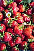 Fresh strawberries (full-frame)