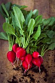 Radishes on a wooden surface