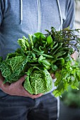 Grünes Superfood-Gemüse: Kohl, Spargel und Blattsalate