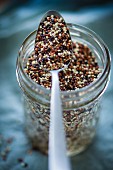 Quinoa tricolore on a spoon and in a glass jar