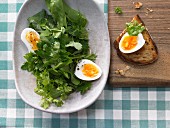 Kräutersalat mit Ei und leichter Senf-Vinaigrette