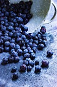 Fresh blueberries falling from a metal sieve
