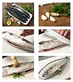 How to prepare barbecued herb mackerel with lemon balm