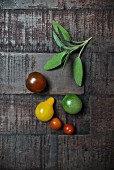 Tomatoes with fresh sage on a dark wooden surface