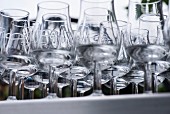 The view of a tray of tulip glasses containing Dutch gin from below