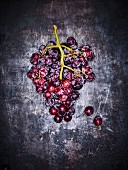 Rote Weintrauben auf grauem Untergrund (Aufsicht)