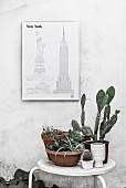 Sketches of New York on wall above plants on table