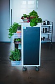 Fresh herbs and vegetables on a kitchen trolley