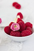 Bowl of Fresh Raspberries