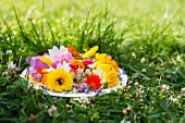 Dish of edible flowers on grass