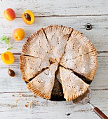 Sliced apricot pie with fresh apricots