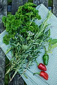 Curly-leaf parsley, rosemary, thyme and red chillis on a checkered cloth