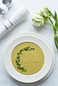 Broccoli cream soup with fresh parsley