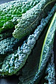 Lacinato kale leaves (close-up)
