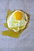 An egg fried in olive oil