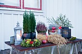 Lanterns on table decorated for Christmas outside wooden house