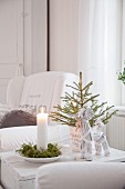 Candle and moss on plate and small fir tree in plant pot