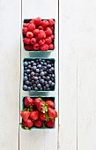 Raspberries, blueberries and strawberries in cardboard punnets
