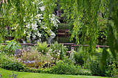 Idyllischer Garten mit Gewässer, blühenden Sträuchern und Hänge-Weide