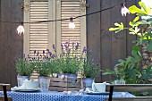 Gedeckter Gartentisch mit Lavendel und beleuchteter Lichterkette