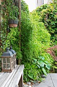 Lanterns on wooden bench with bamboo and pond in background