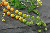 Yellow Currant cherry tomatoes on a stone surface