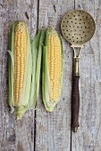 Two corn on the cob with a sieve spoon on a wooden surface