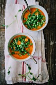 Minestrone with fresh peas, carrots, pea shoots and herbs