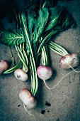 Turnips with leaves