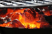 Glowing coals on a barbecue (close-up)
