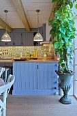 Green climbing plant planted in vintage urn in front of blue kitchen counter in country-house kitchen