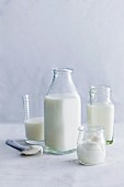 Verschiedene Milchprodukte
