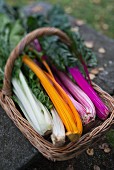 A basket of chard in different colours