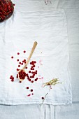 An arrangement of redcurrants, empty redcurrant stems, a wooden spoon and a linen cloth