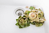 Two boiled artichokes (organic) in a ceramic sink