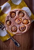 Mirabelle tart dusted with icing sugar (seen from above)
