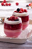 A layered dessert with raspberry mousse, jelly, joghurt and fresh berries