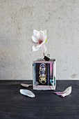 Magnolia flower in DIY vase