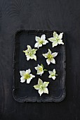 weiße Christrosenblüten auf schwarzem Tablett