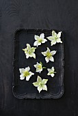 White hellebores on black tray