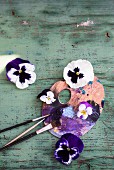 Stiefmütterchenblüten auf einer Malerpalette und rustikalem Brett